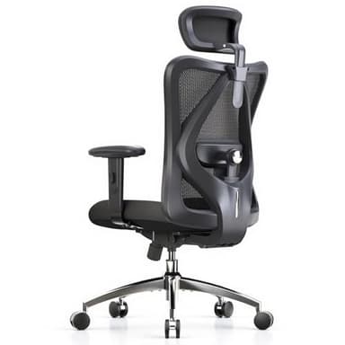 SIHOO Ergonomic Office Chair Computer Chair Desk Chair, Adjustable Headrests Chair Backrest and Armrest's Mesh Chair (Black)
