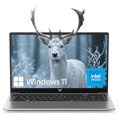 ACEMAGIC Laptop Intel N95 15.6-in 8GB DDR4 256GB SSD Intel Laptops, Windows Laptops Ordinateur-Portable Notebook Computers, Numeric Keypad Win-11 Pro WiFi 5 HDMI Type-C Webcam 3.5mm Audio USB-3.2