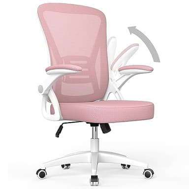 naspaluro Ergonomic Office Chair with Adjustable Height, Flip-Up Arms and Lumbar Support, Breathable Mesh Swivel Computer Chair for Home Study Working