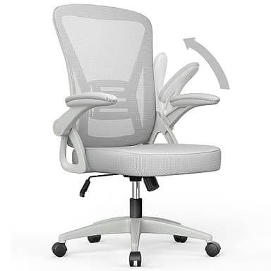 naspaluro Ergonomic Office Chair with Adjustable Height, Flip-Up Arms and Lumbar Support, Breathable Mesh Swivel Computer Chair for Home Study Working